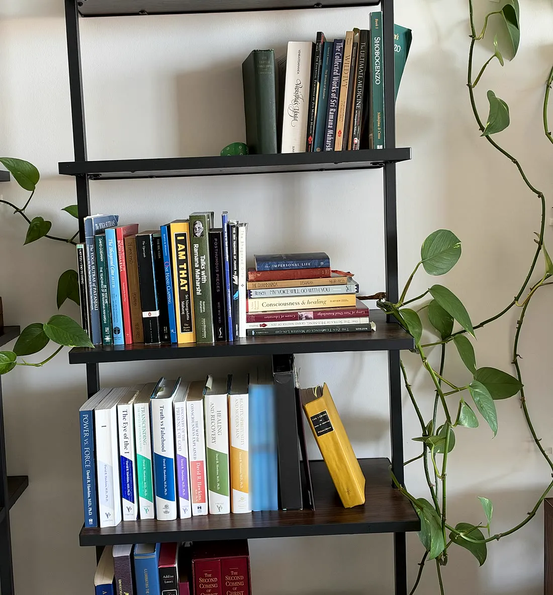My bookshelf at home, with plants climbing the wall